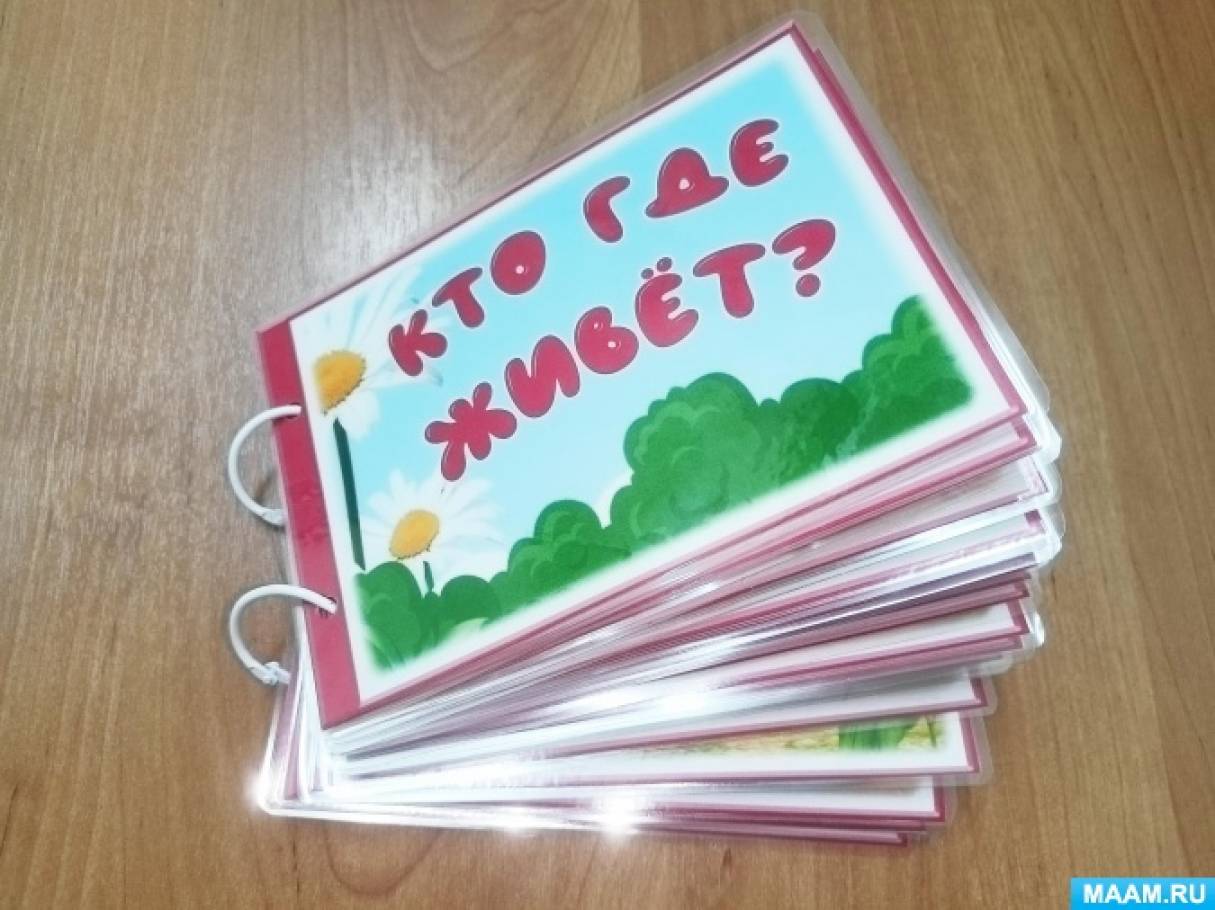 Музыкально-дидактическая игра «Кто где живет»
