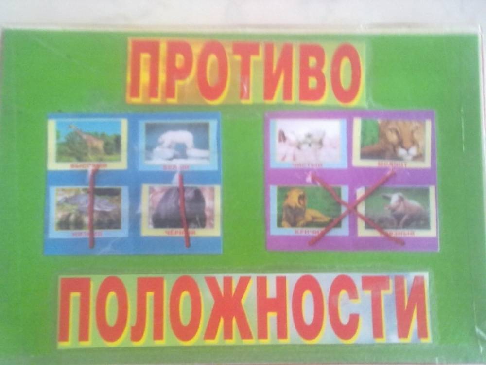 Дидактическая игра «Противоположности» Фото Дидактическая игра «Противоположности»