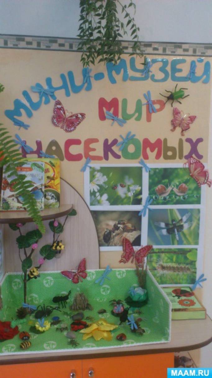 Мастер-класс мини-музей в детском саду Мастер-класс мини-музей в детском саду