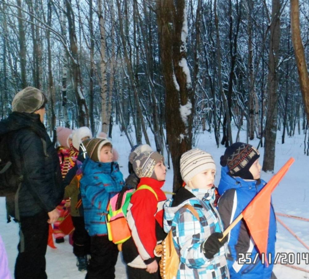 Конкурс для зимнего леса Конкурс для зимнего леса
