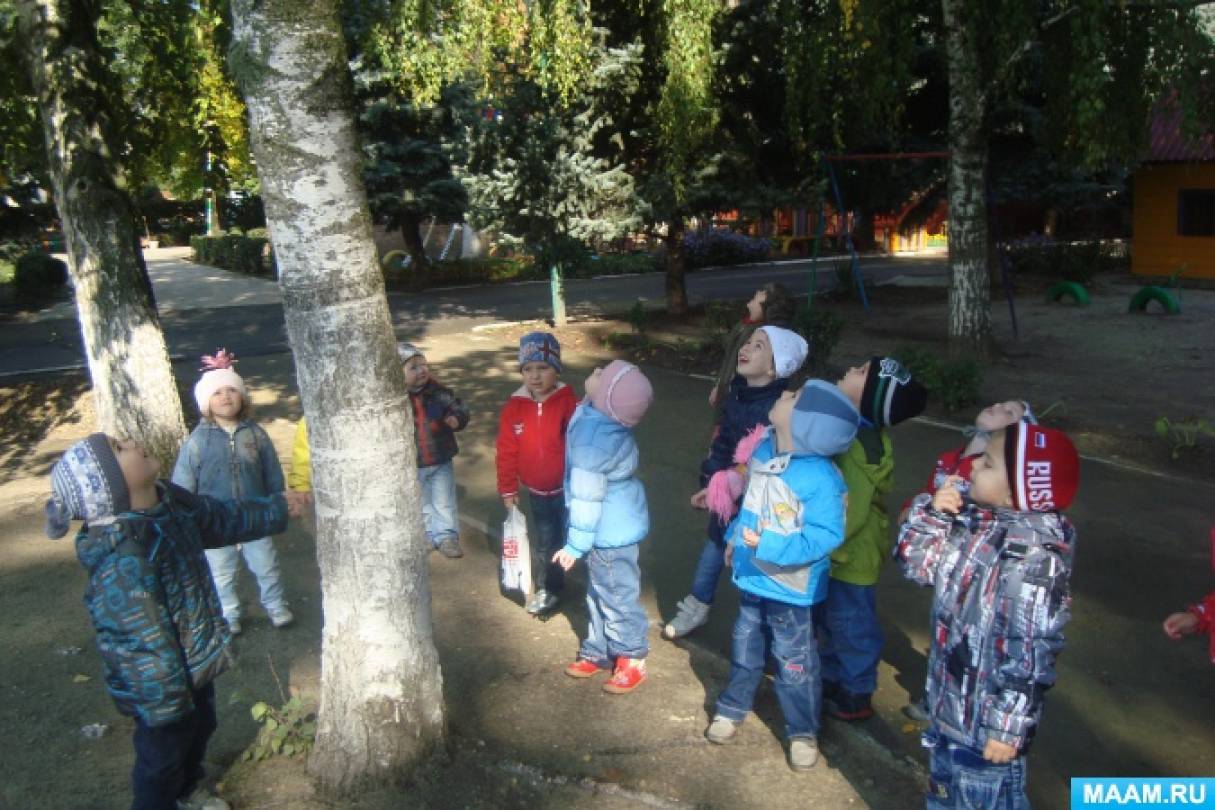 Консультация для воспитателей «Нравственное воспитание дошкольников через воспитание любви к природе» Фото Консультация для воспитателей «Нравственное воспитание дошкольников через воспитание любви к природе»