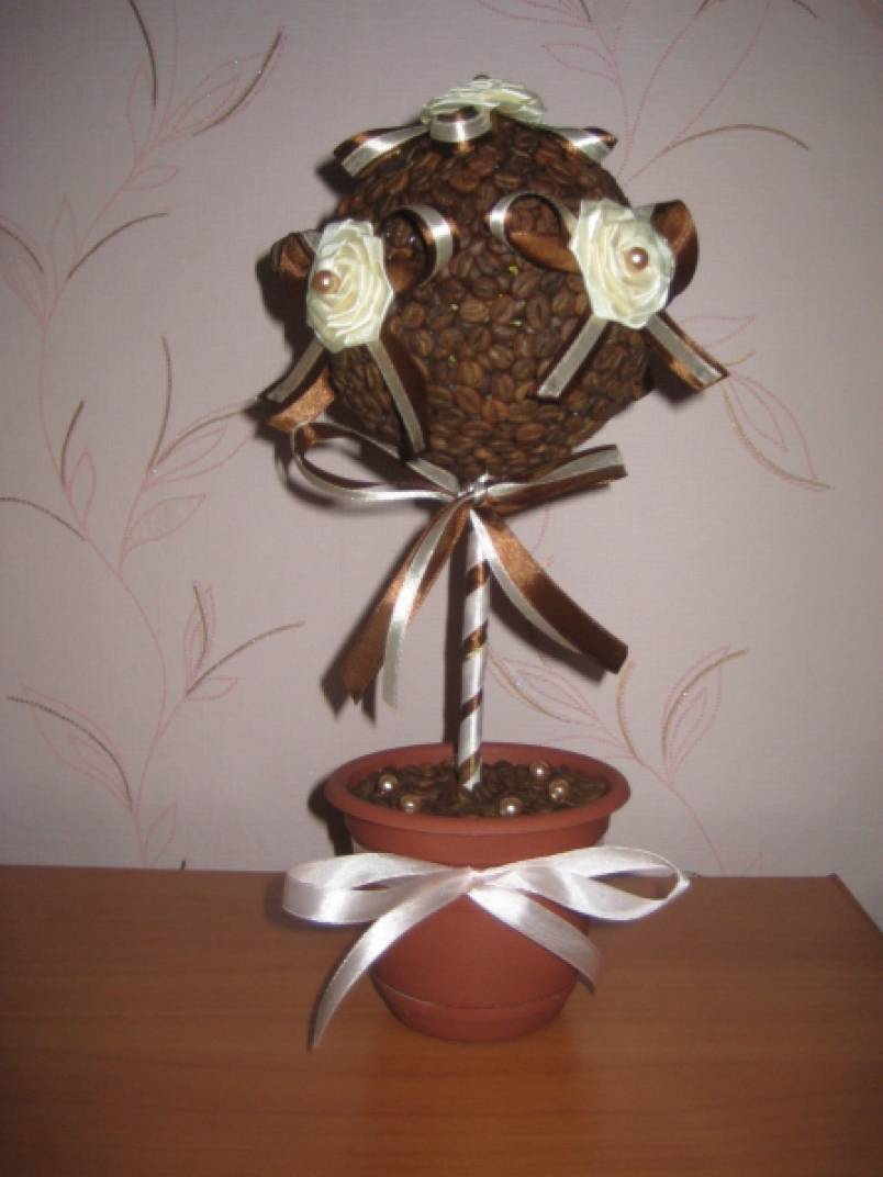 Декоративное кофейное деревце (топиарий). Мастер-класс Фото Декоративное кофейное деревце (топиарий). Мастер-класс