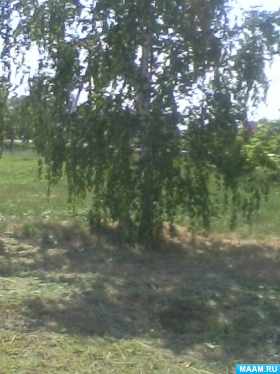 ������������� ����������� � ������� � ������ ����������� ��������