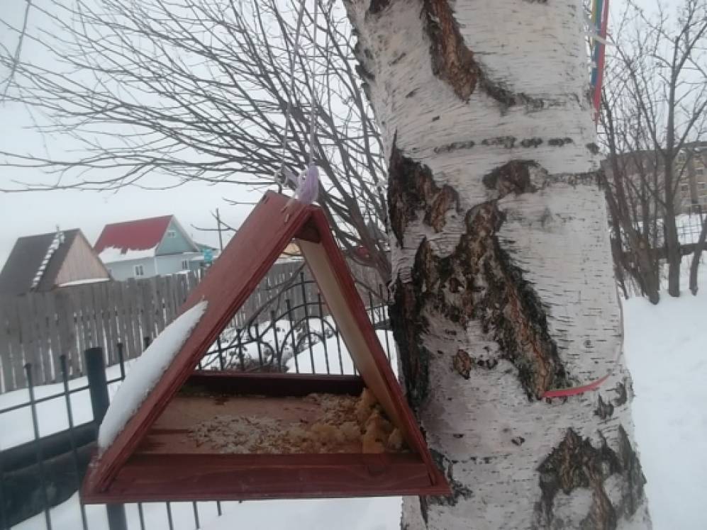 Кормушка для пичужки от детишек второй младшей группы «Умка» Фото Кормушка для пичужки от детишек второй младшей группы «Умка»