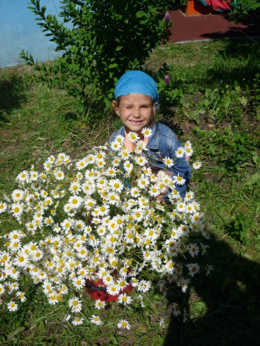 Сценарий праздника семьи 8 июля Сценарий праздника семьи 8 июля