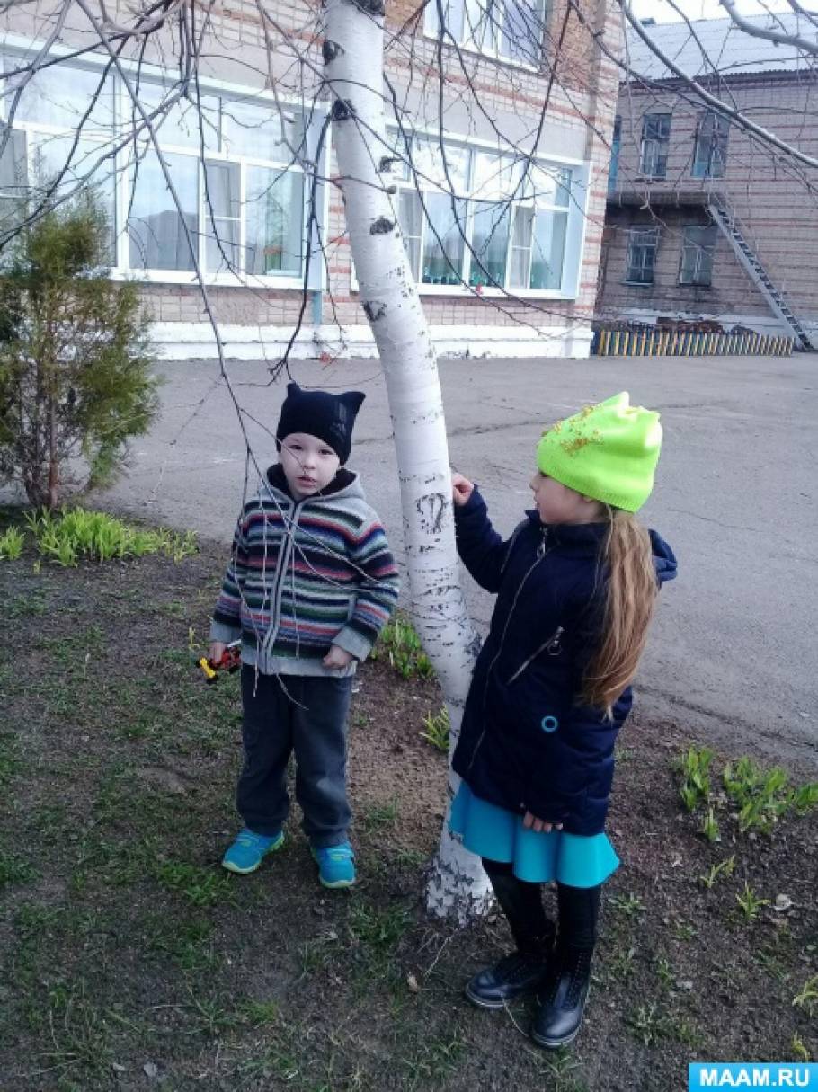 Фотозвіт «Берещенье - свято берези. Марков день »Фото Фотоотчет «Берещенье — праздник березы. Марков день»