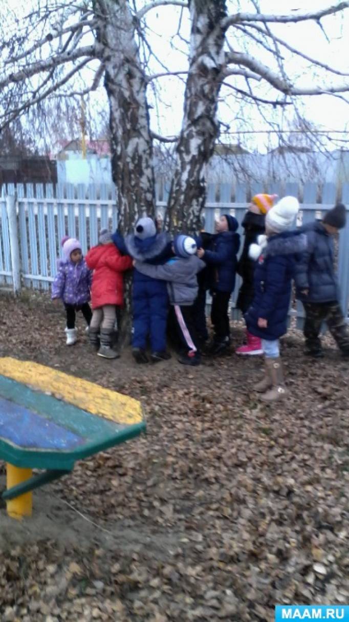 Фотозвіт про цільову прогулянці «Спостереження за природою пізньої осені» Фото Фотоотчет о целевой прогулке «Наблюдения за природой поздней осенью»