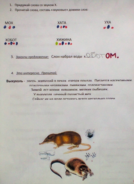 Интегрированное обучение. География для малышей (практический материал по обучению грамоте детей 6–7 лет) Фото Интегрированное обучение. География для малышей (практический материал по обучению грамоте детей 6–7 лет)
