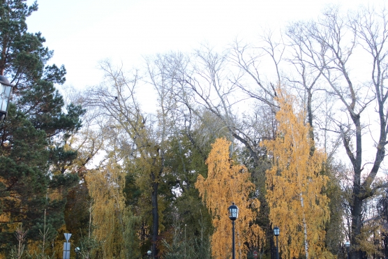 Прогулка в парк «Александровский сад» Фото Прогулка в парк «Александровский сад»