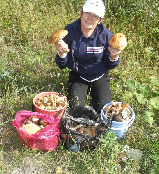 Грибы, ягоды беру Фото Грибы, ягоды беру