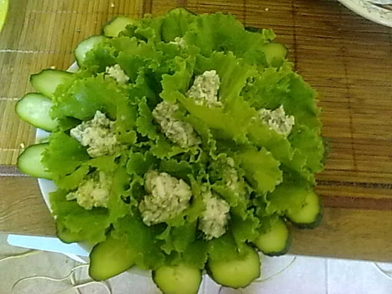 Холодная закуска. Фото Холодная закуска.