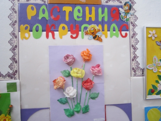 Тематическая выставка «Растения вокруг нас». Фото Тематическая выставка «Растения вокруг нас».
