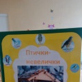 Лэпбук «Птички-невелички»