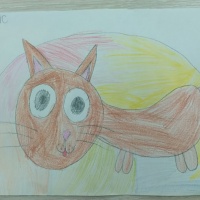 Фотоотчет о внеурочной деятельности в первом классе «Моё домашнее животное»