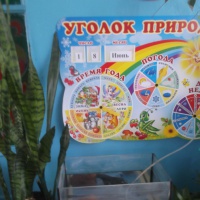 Уголок природы в младшей группе - фото №2