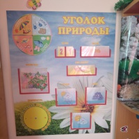 Текстовое описание уголка «Эколята — дошколята» - фото №5