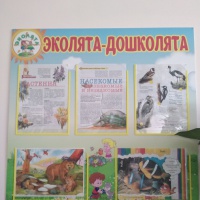 Текстовое описание уголка «Эколята — дошколята» - фото №6