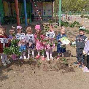 Фотоотчет «Всероссийская акция «Сирень Победы!»