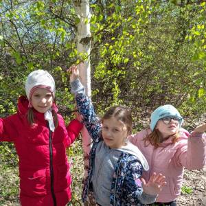 Конспект наблюдения за деревьями и цветами в середине весны с детьми подготовительной группы