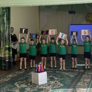 Система работы по сопровождению детей с ОВЗ в детском саду и семье