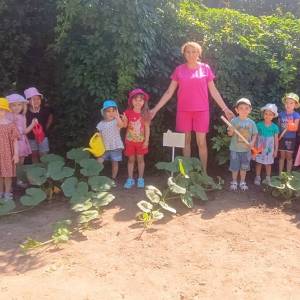 Фотоотчет «Дни наблюдений и маленьких открытий в огороде в средней группе»