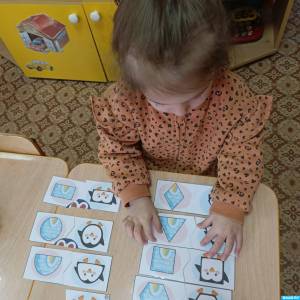 Дидактическая игра «Подбери пингвину правильный дом» для младших дошкольников