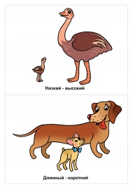 Низкий-высокий, длинный - кроткий. Низкий-высокий, длинный - кроткий.