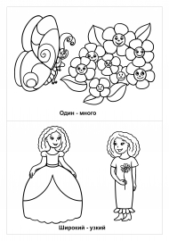 Картинки: один-много, широкий - узкий Картинки: один-много, широкий - узкий