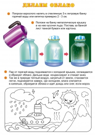 Проект Зимний огород на подоконнике Проект Зимний огород на подоконнике