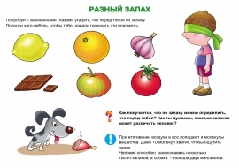 ���� � ��������