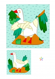 ����, ����