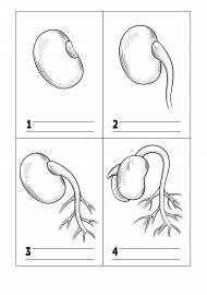 ������ ����� ������. �������� ��� �������