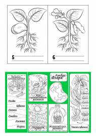 ��������� ���� ������. �������� ��� �������