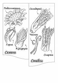 ��������, ������� �� ����: ������, ������