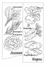 ��������, ������� �� ����: ������, �����