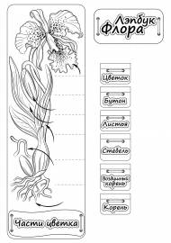 ����� ��������. �������� ��� �������