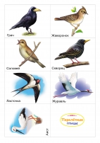 Перелетные птицы. Карточки для лэпбука на тему «Осень»