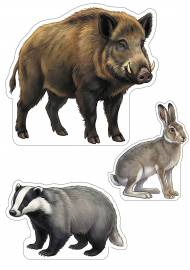 Кабан, барсук и заяц для макета Кабан, барсук и заяц для макета
