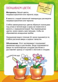 ����� � �����. �����-����������