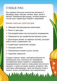 ������ ����. ������������