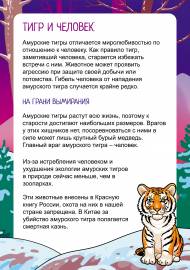 Амурский тигр в красной книге. Консультация для передвижки