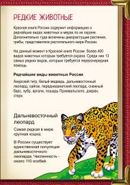 Редкие животные красной книги. Папка-передвижка Редкие животные красной книги. Папка-передвижка