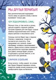 Чем подкармливать синиц. Папка-передвижка к Синичкину дню