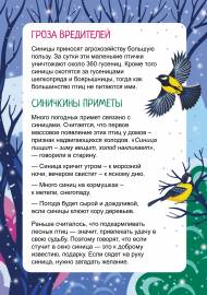 Приметы о синицах в папке-передвижке Приметы о синицах в папке-передвижке