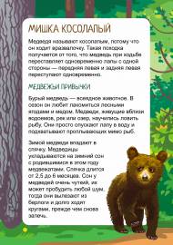 Мишка косолапый. Папка-передвижка о медведе