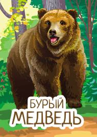 Медведь бурый. Папка-передвижка