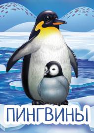 ��������. �����-����������