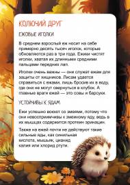 ��� ����. �����-����������