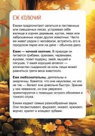 ��� ���� ����� � ���������. ����������