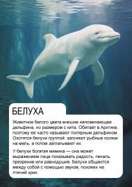 ������. �������� ��� ����������